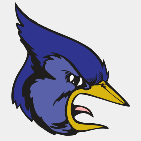 BAW BLUEJAY 04 RC Thumbnail