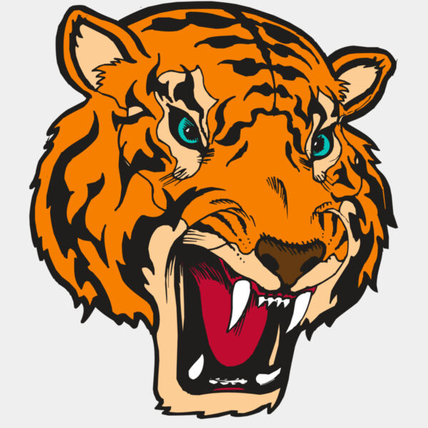 BAW TIGER 12 RC Thumbnail