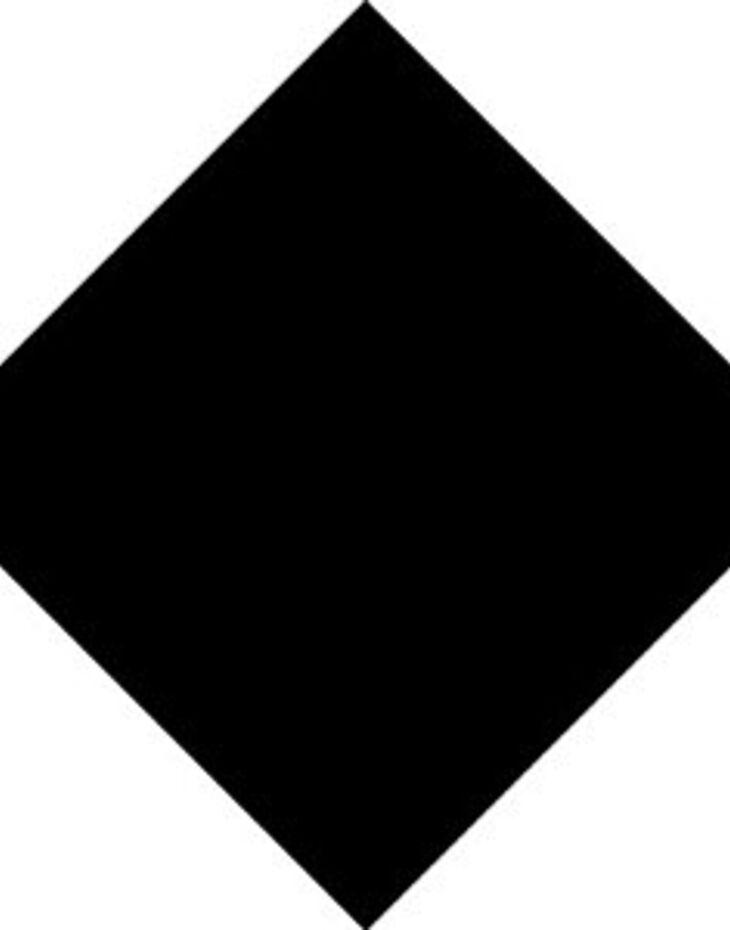 Bandana's 54cm x 54cm Thumbnail